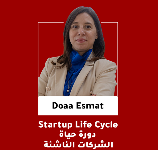 Startup Life Cycle